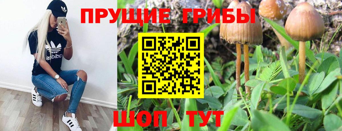 Серов  Галлюциногенные грибы Psilocybe  Галлюциногенные грибы мухоморы  Вход с VPN 