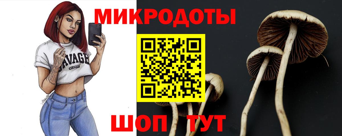 Псилоцибиновые грибы GOLDEN TEACHER Серов